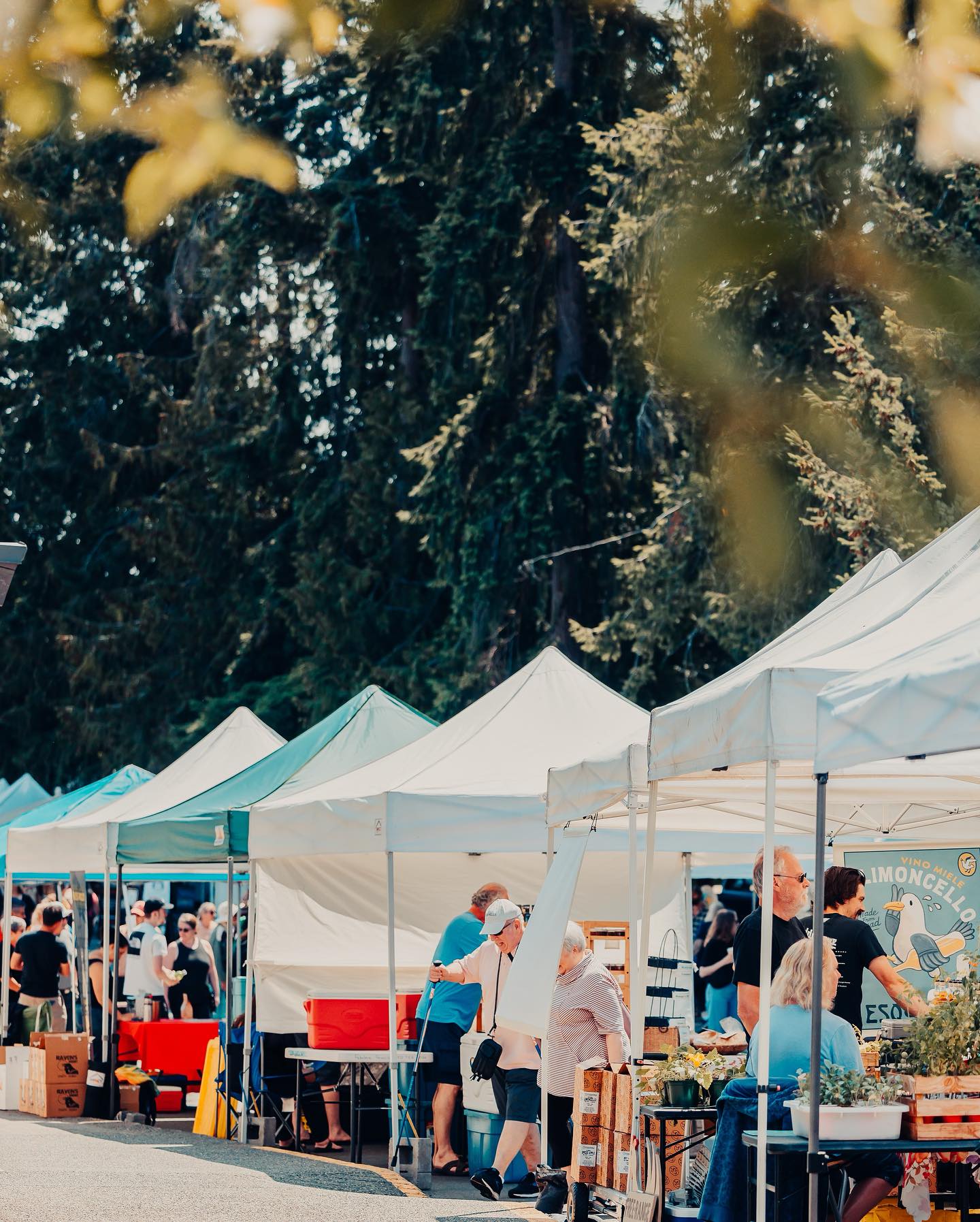 Visitors at the Qualiucum Beach Farmers market view various good on a sunny day.