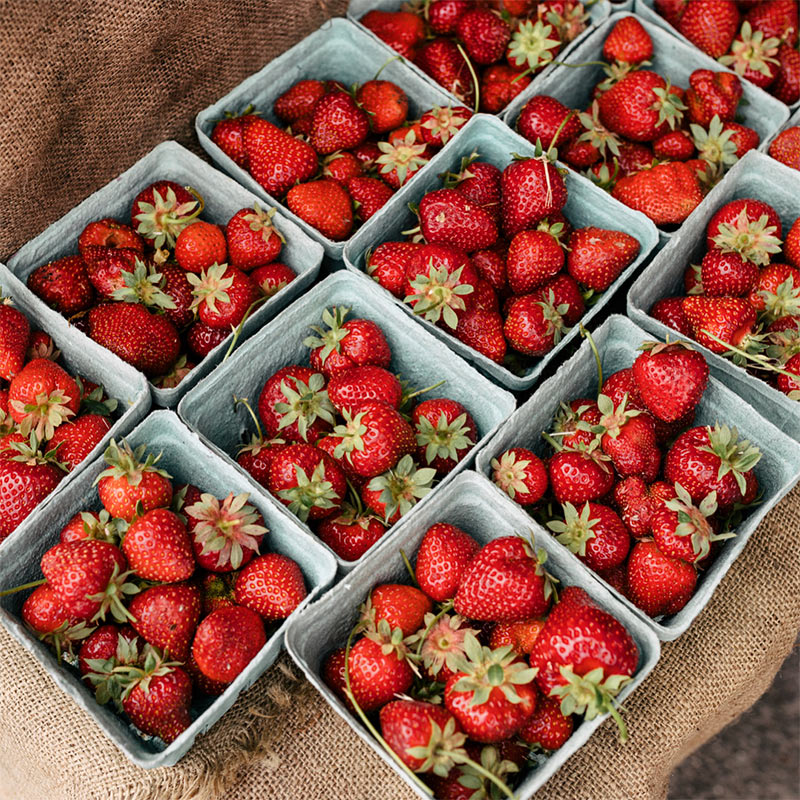 Bright red strawberries in small baskets at the Qualicum Beach Farmers Market.